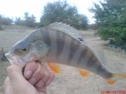 DSC01579.JPG