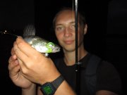 IMG_1229.jpg