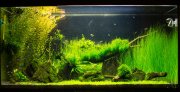 DSC_0010-1.jpg
