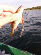 IMG_20140820_181419.jpg
