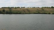 IMG_2312.jpg
