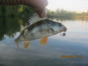 IMG_0080.JPG