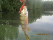 IMG_0081.JPG