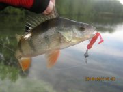IMG_0082.JPG