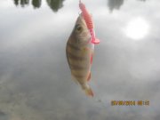 IMG_0084.JPG
