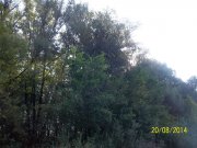 100_6864_thumb.jpg