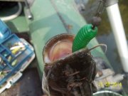 100_6908_thumb.jpg
