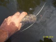 100_6909_thumb.jpg