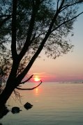 WP_20140830_19_26_16_Pro.jpg