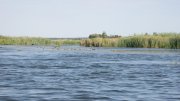 IMG_2342.jpg