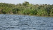 IMG_2344.jpg
