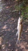 IMG_20140831_122007.jpg