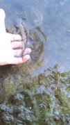 IMG_20140831_131255_1.jpg