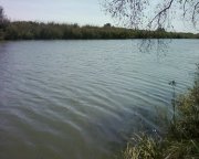 Photo-0002.jpg