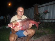 IMG_4743.jpg