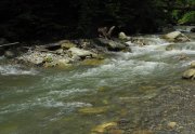 DSCN9792.jpg