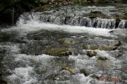 DSCN9607.jpg
