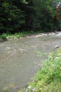 DSCN9799.jpg