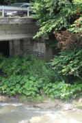 DSCN9801.jpg