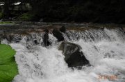 DSCN9586.jpg