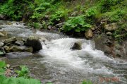 DSCN9538.jpg