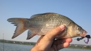 IMG_2353.jpg