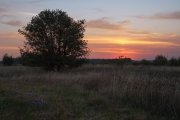 IMG_0093_resize.jpg