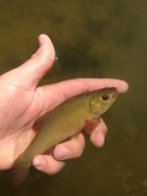 IMG_1922.JPG