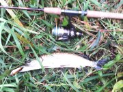 IMG_20140911_072202.jpg