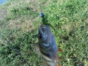 DSC09202.JPG