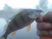 DSC01592.JPG
