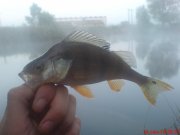 DSC01593.JPG