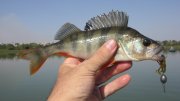 IMG_2374.jpg