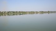 IMG_2376.jpg