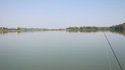 IMG_2377.jpg