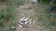 IMG_2379.jpg