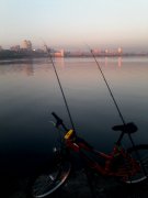 IMG_20140914_063052.jpg