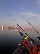 IMG_20140914_083700.jpg