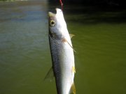 IMG_6573.jpg