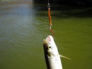 IMG_6572.jpg