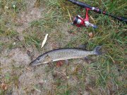 DSCN0779.JPG