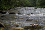 Place for meditation.jpg