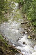 Stream.jpg