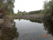 DSC02706.JPG