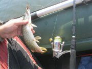IMG_1509.JPG