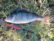 DSC01788.JPG