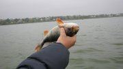 IMG_2401.jpg