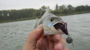 IMG_2404.jpg
