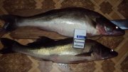 DSC05928.JPG