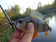 DSC02755.JPG
